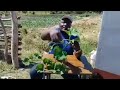Trending Manhanga matete song  explained