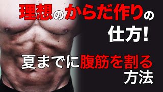 夏までに腹筋を割る方法２【科学的に筋トレを解説する動画シリーズ】北島達也