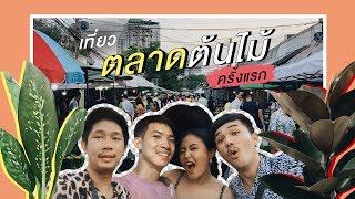 รายการรังรัก EP.6 | #เที่ยวตลาดต้นไม้ครั้งแรก  ซื้อต้นไม้จนหมดตัว, ตามล่าต้นยางอินเดีย