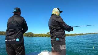 Mud island fishing moreton bay