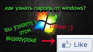 как узнать пароль от windows 7/vista/xp/8