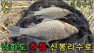 붕어 직공 낚시♥ 강화도 하점 신봉리수로 알짜 포인트