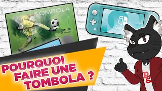 POURQUOI FAIRE UNE TOMBOLA ? - Projets Gagnants