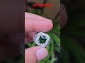 Natural HQ Vivid Green Tsavorite Garnet 2.70 crt GRI LAB #gemstone #tsavorite