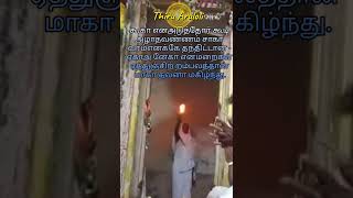 வள்ளலார் திருவறை தரிசனம்|சாகா வரம் எனக்கே தந்திட்டான்| #shorts #vallalar #aruljothi #வள்ளலார் #v200