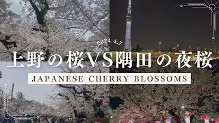 2024.4.7｜昼の上野公園の桜VS隅田公園の夜桜｜1日に両方満喫した日｜Japanese cherry blossoms｜sakura｜asakusa