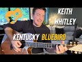 Kentucky Bluebird | Keith Whitley | Beginner Guitar Lesson