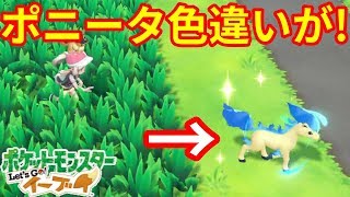 色違いラッキーに2回襲われる男 ポケモンピカブイ 色違いラッキーに2回襲われる男 ポケモンピカブイ