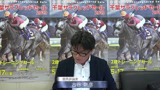 2019 千葉サラブレッドセール 注目馬解説