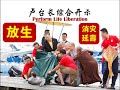 卢台长开示【放生消灾延寿】perform life liberation q u0026a master lu