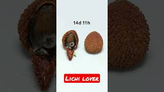 lichi lover #shorts