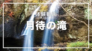 【茨城】月待の滝で紅葉を体験！【縦動画】