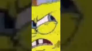 You Stupid Ni- #spongebob #memes #shorts