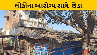 chhotaudaipur : બોગસ ડોકટરોની હાટડીઓનો રાફડો ફાટ્યો | MantavyaNews