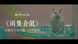 《兩隻倉鼠》｜消聲匿跡 - A 16BY9 Anthology 拾陸比玖短片集 | 主演 - 馮海銳 張毓軒