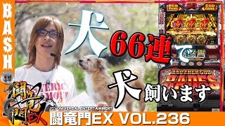 【ハーデス】よっしー 闘竜門EX vol.236《メッセ奥戸店》 [BASHtv][パチスロ][スロット]