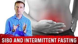 How To Get Rid of SIBO (Small Intestinal Bacteria Overgrowth) With Intermittent Fasting – Dr.Berg