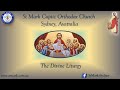 Sunday Divine Liturgy 13/10/2024