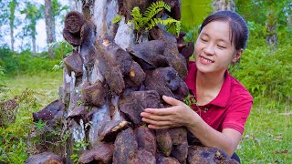 Ella Harvesting Horseshoe Tubers Goes to the market sell