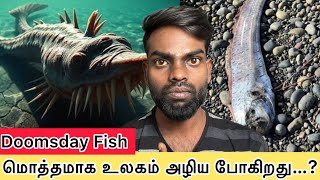 கரை ஒதுங்கிய அதிசய மீன் 🦈 | Doomsday | Kapil