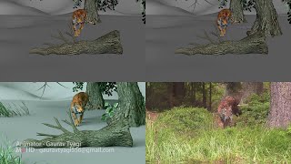 Tiger NatGeo Shot Progression