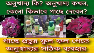 অনুখাদ্য কি? কখন কেনো কিভাবে গাছে দেবেন? / গাছে প্রচুর ফুল ফল পেতে অনুখাদ্যের সঠিক ব্যবহার