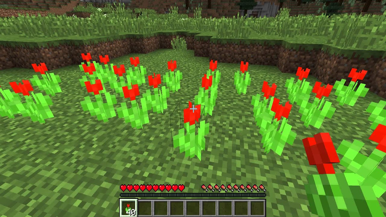 Tulip Colors Minecraft At Evelyn Wegner Blog