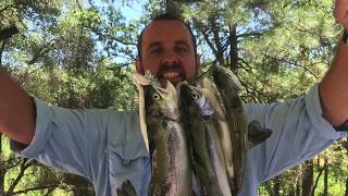 June 2020 Trout Fishing on Cherry Lake, CA - Limited Out in 4 Hours