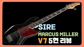 SIRE MARCUS MILLER V7 5현 리뷰