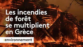 Les incendies de forêt se multiplient en Grèce