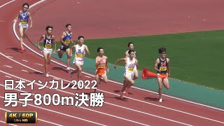 男子800m決勝　日本インカレ2022