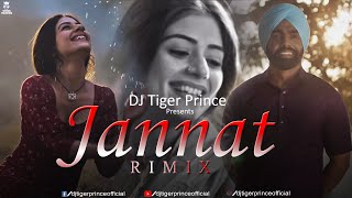Jannat (Chillout Remix) Ft - B Praak | Jaani | Ammy Virk | DJ Tiger Prince