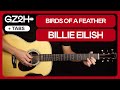 Birds Of A Feather Guitar Tutorial Billie Eilish Guitar Chords + Fingerpicking