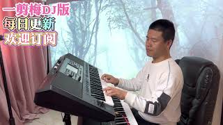 电子琴演奏「一剪梅DJ版」keyboard music