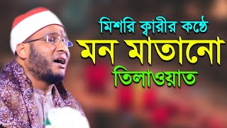 মিশরি ক্বারীর কন্ঠে লম্বা সূরে তিলাওয়াত ক্বারী সালাহ সুলেমান Qari Salah Suleman | Quran Recitation