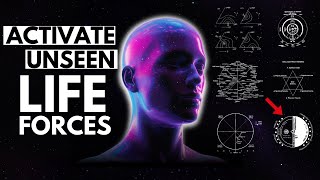 The 6 Hidden Forces That Shape Your Reality (But No One Talks About)