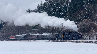 C11型325号機 緑色ナンバープレート 5701レ SLふたら71号 東武日光行き 通過 in沿線 #slふたら #東武鉄道 #蒸気機関車