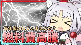 【ボイロ財テク部】活動記録#18「燃料費高騰に焼かれたイタコさんは２０２２年に電気代がいくらになったのか？」【VOICEROID解説】