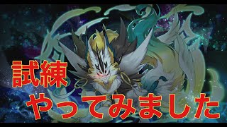 強者の試練（カムイ）やってみました　ドラガリアロスト／ドラガリ