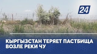 Кыргызстан теряет пастбища возле реки Чу