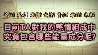 【Elaine的塔羅-愛情篇】TA目前對我的感情組成中包括那些能量成分呢?  有包括愛情或承諾嗎？(適合目前有特定感情互動對象但不限關係)