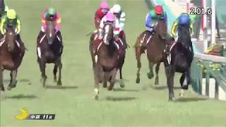 【競馬】第54回 金鯱賞　GⅡ【JRA】