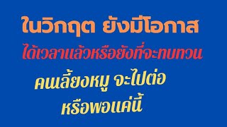 เปลี่ยนวิกฤตการณ์ให้เป็นโอกาส#ขุนหมูขาย #ราคาหมู #การเลี้ยงหมู