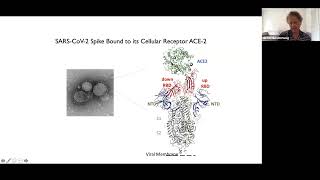 Michel+Nussenzweig + Viral+immunology +9 29 20