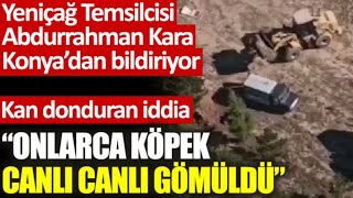 Konya Sarayönü Belediyesi Köpekleri Canlı Canlı Gömdü