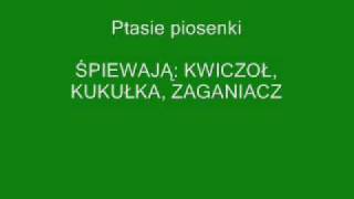 Ptasie piosenki.wmv