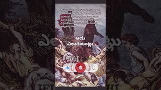 దైవ సేవకుని దూషించుటకు వీలైతే వారితో ప్రార్థన చేయించుకోండి ఎలీషా గారు మూడు అద్భుతాలు చేశారు #jesus