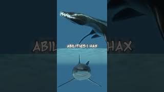 Great white shark vs Rhomaleosaurus (oceanic)