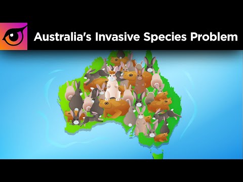 What animals were introduced into Australia?