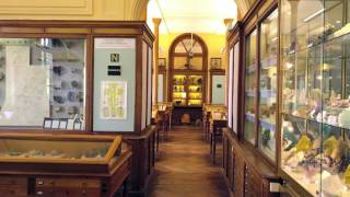 Drone view of the Mineralogy Museum MINES ParisTech